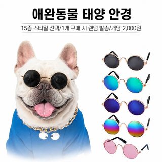 반려동물 고양이 강아지 빈티지 선글라스 사진 촬영 소품 패션 안경 액세서