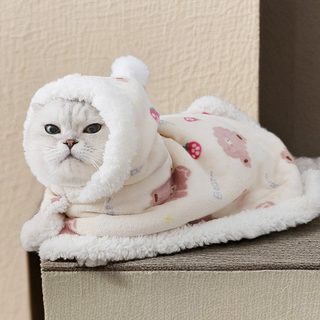 국경 간 도매 고양이 겨울 기모 핑크 곰 작은 담요 고양이 모자 달린 작은