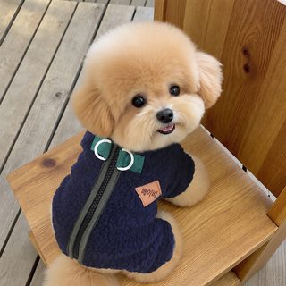 강아지 가을 겨울 스웨이드 지퍼 네발 옷 스포츠 바람막이 견인 고리 반려