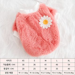 강아지 겨울 보온 데이지 패턴 소형견 털안감 두발 옷
