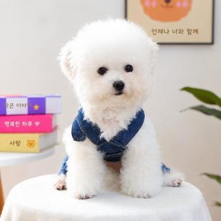 애완동물 옷 가을 겨울 신상 소형견 유견 쾌락 개 고양이 보온 쾌락 벽력 데님 멜빵 바지