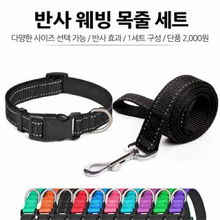 반사 직조 나일론 강아지 목걸이 세트 조절식 산책용 탈출 방지 반려견 목