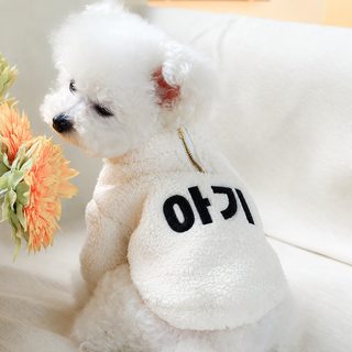 강아지 겨울 패딩 목폴라 지퍼 보온 두발 옷 테디견 가을 방한복