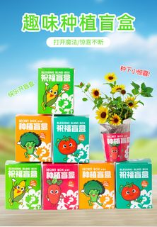 어린이 식물 재배 분재 블라인드 박스 초등학생 선물 격려 장려 유치원 작