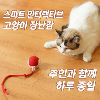 크로스보더 지능 고양이 공 놀이 자신 답답함 해소 고양이 장난감 정력 소
