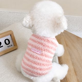 소형견 강아지 겨울옷 보온 기모 조끼 비숑 테디베어 가을 겨울 반려견 의
