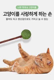 고양이 캣닢볼 간식 장난감 이갈이 치아관리 스트레스 해소 셀프 놀이용