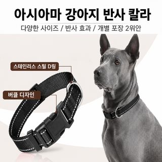 강아지 고양이 공용 나일론 반사 목걸이 사계절 산책용 반려동물 목줄