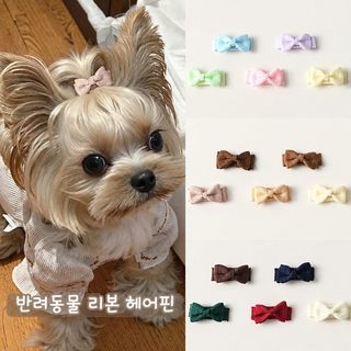 펫 마르제스 강아지 머리핀 리본 머리장식 사진 촬영용 귀여운 반려견 액세