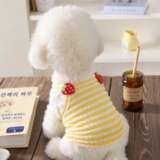 여름용 얇은 반려견 옷 소형견 비숑 토이푸들 귀여운 끈나시 공주 원피스
