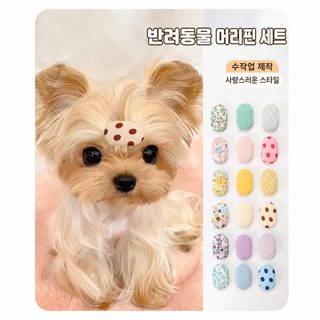 강아지용 깨진 머리핀 캔디 컬러 타원형 BB 머리장식 요크셔테리어 몰티즈