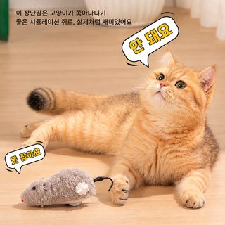 고양이 장난감 전기 쥐 오락 스스로 답답함을 풀다 고양이 몽둥이 고양이 달릴 줄 아는 쥐 체력 소모 용품 대전