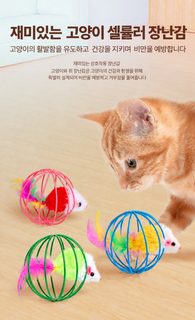 크로스보더 고양이 장난감 케이지 중 쥐 애완동물 고양이 장난감 쥐 진짜