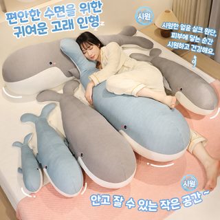 고래 얼음 쿠션 긴 베개 여학생 자다 끼다 다리 옆으로 자다 베개 침대 머리