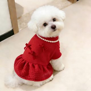 2026년 말띠 강아지 고양이 설날 옷 빨간색 공주 원피스 겨울 반려동물 신년