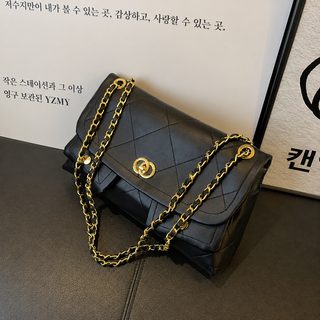 소향풍 링거 체인 더블 포켓 커버백 2026 신형 대용량 호보 겨드랑이 가방 크로스 숄더백