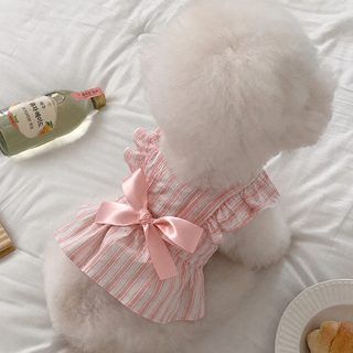신경고양이 봄여름 공주풍 강아지 원피스 소매 줄무늬 리본 고양이 치마 애