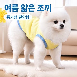 강아지 옷 테디 여름 조끼 비숑 보미 쉐너리 귀빈 소형견 애완견 고양이 얇