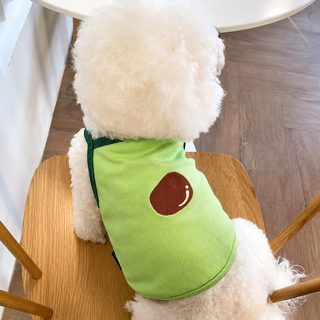 강아지 고양이 봄가을 얇은 끈나시 조끼 옷 소형견 테디 비숑 요크셔 펫웨