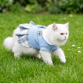 강아지 고양이 JK 체크 원피스 봄여름용 중소형견 테디 반려동물 의류