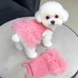 봄 여름 신상 펫 옷 통풍 청량 펑펑 스커트 강아지 고양이 끈 원피스 테디 비숑 보미