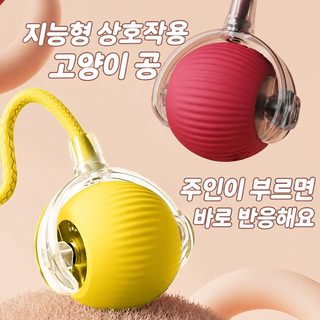 크로스보더 고양이 장난감 자동 고양이 공 놀이 자신 답답함 해소 스마트 인터렉션 고양이 장난감 애완동물 용품 애완동물 장난감