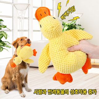 강아지 장난감 털털 잠자기 러버덕 잘 물고 이를 갈고 소리를 내며 답답함