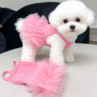 봄여름 왕홍 신상 애완동물 초몽봉 스커트 통기 고양이 강아지 원피스 비곰 테디 강아지 옷