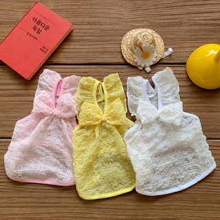 여름 얇은 반려동물 원피스 통기성 강아지 고양이 옷 퍼프소매 테디 포메라