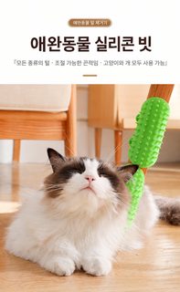 고양이 장난감 벽 모서리 문지르기 스크래처 실내 셀프 놀이 간지럼 해소