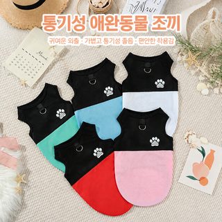 애완동물 조끼 강아지 충돌색 견인 그물코 통기 여름 크로스보더 인기 강아