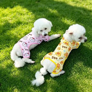강아지 고양이 사계절 통기성 네발옷 리드줄 고리 반려동물 홈웨어