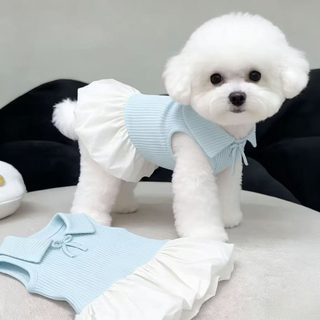 크로스보더 반려견 고양이 폴로 넥 원피스 여름 얇은 소형견 비숑 마르제스