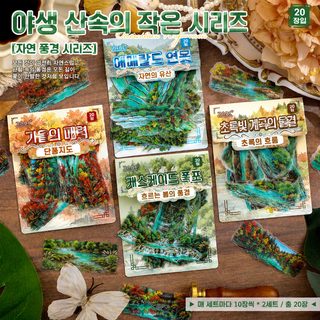 웨전 산야소서 투명 PET 방수 다이어리 스티커 어린이 DIY 꾸미기