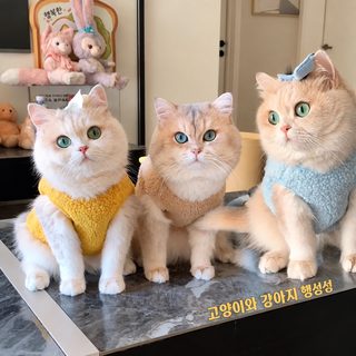 고양이 강아지 겨울 보온 캐시미어 조끼 카툰 반려동물 옷 테디 소형견 의