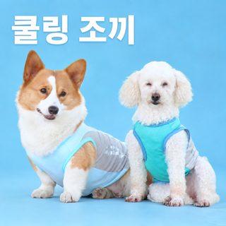 宠物凉凉衣狗狗背心反光降温服夏季冰丝透气柯基法斗薄款宠物衣服