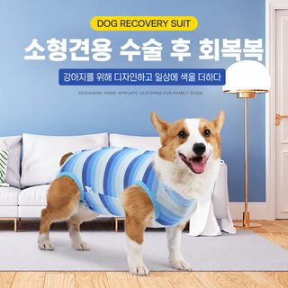 크로스보더 신상품 소형견 강아지 수술 후복 버클 강아지 불임복 신축성 강