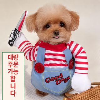 할로윈 반려동물 코스튬 칼 든 공포 인형 강아지 고양이 변신옷 소형견 중