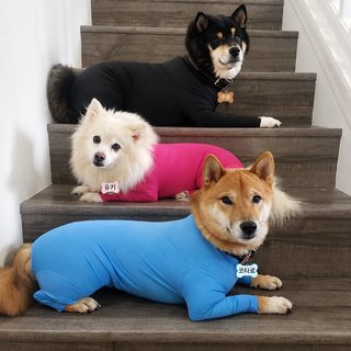 중대형견 레깅스 네발 쫄쫄이 애완견 고양이 네발 옷 가정복 용품