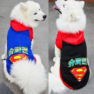 강아지 고양이 겨울 후드티 슈퍼맨 배트맨 반려동물 의류 대형견 골든리트