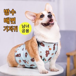 강아지 뱃주머니 코키견 배 보호 냉방 옷 가을/겨울 보온법 비옷 애완동물 방수