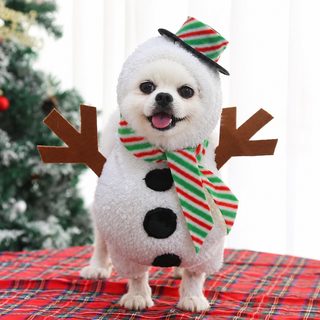 신상 엽기 가을 겨울 작은 중대형견 강아지 고양이 크리스마스 애완동물 용