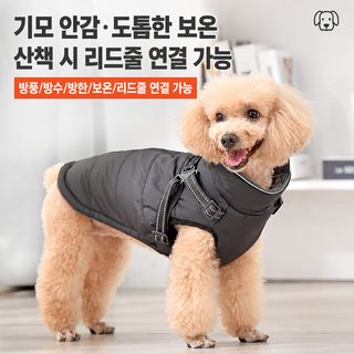새로운 가을 겨울 애완동물 강아지 솜옷 보온 반사 멜빵 견인 면복 두꺼운
