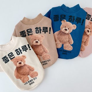 가을 겨울 강아지 고양이 곰돌이 보온 맨투맨 비숑 포메라니안 반려동물 커