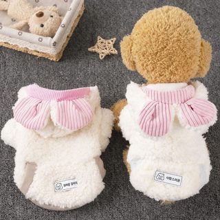 고양이 옷 가을 겨울 신상 강아지 옷 테디 보미 비곰 인형 아기 젖고양이 파