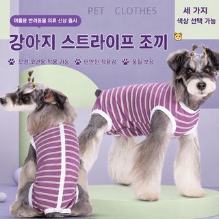 강아지 생리 바지 봄 여름 얇은 배 보호 조끼 냉방 애완동물 가방 엉덩이 테