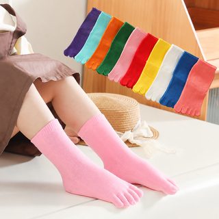 캔디컬러 아동용 면 발가락양말 5지 단색 중목 사계절 땀흡수 통기 양말