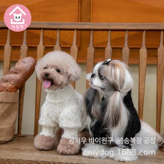 강아지 고양이 가을 겨울 레이스 기모 프렌치벨벳 퍼프소매 테디베어 조끼