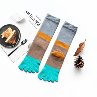 롱 통 여성 순면 다섯 손가락 양말 어린이 친자 같은 중고 통 가을 겨울 전체 면 땀 흡수 다섯 손가락 양말