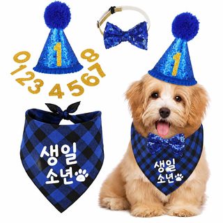 강아지 생일 파티 장식 세트 반려견 삼각 스카프 모자 넥타이 용품